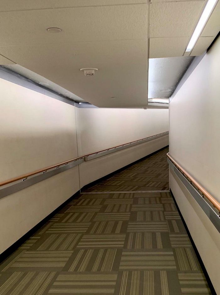 18 fotos que você não pode ver corretamente na primeira vez 17