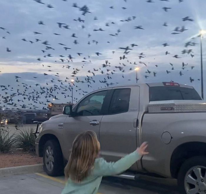 18 imagens para nos inspirar a ver o mundo do jeito que as crianças veem 14
