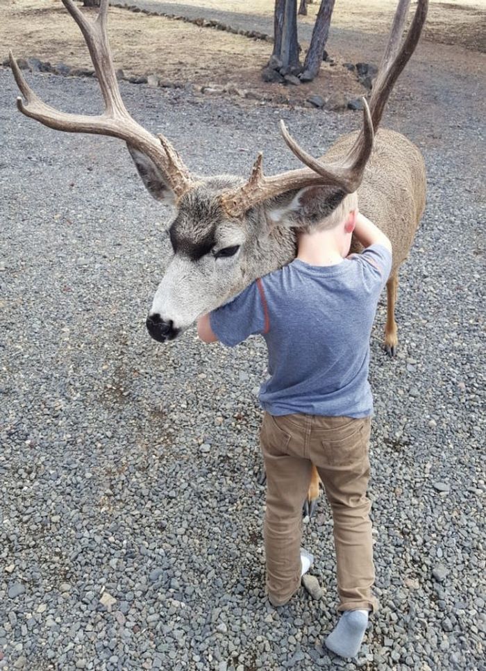 18 imagens para nos inspirar a ver o mundo do jeito que as crianças veem 16