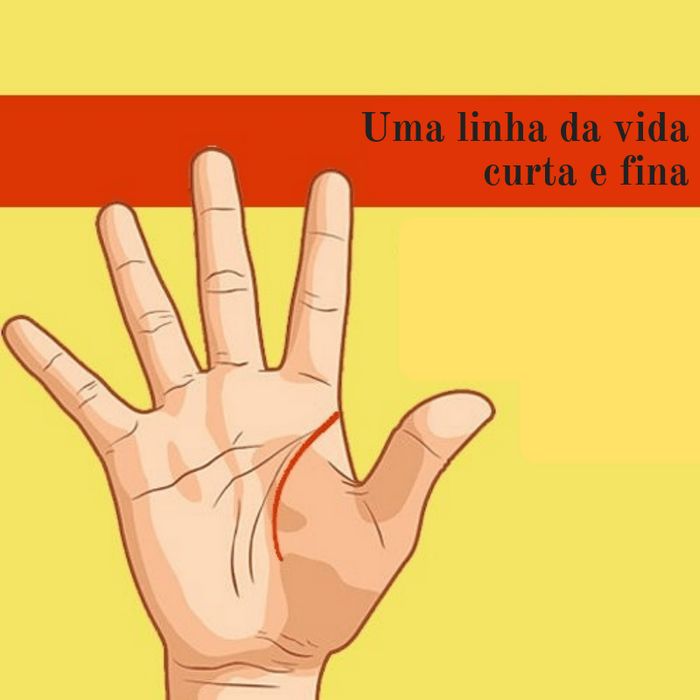 Linha da vida: Seu destino está escrito em suas mãos 4