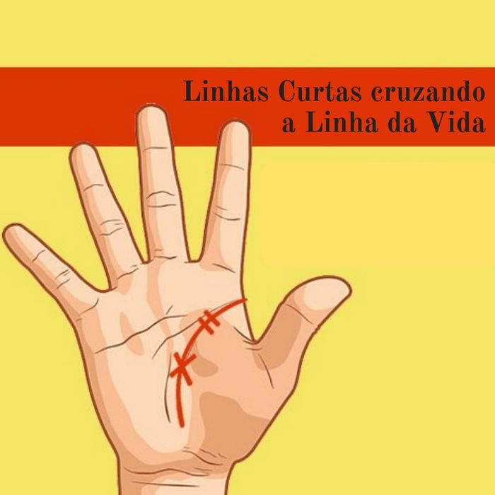 Linha da vida: Seu destino está escrito em suas mãos 9