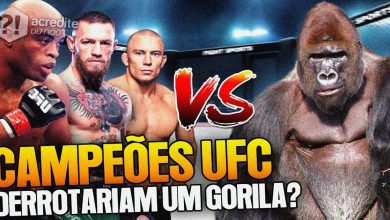 3 lutadores do UFC Vs 1 gorila: Quem vence? 6