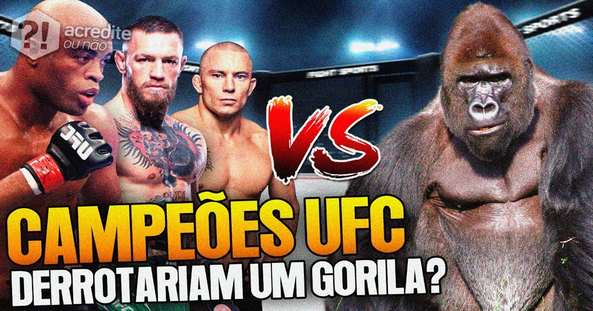3 lutadores do UFC Vs 1 gorila: Quem vence?