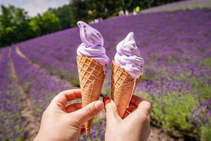 15 sorvetes mais estranhos do mundo: Você ousa experimentá-los? 8