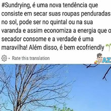 O significado de sundrying