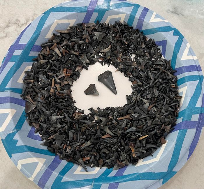 18 vezes que o mundo jogou algo interessante em nós para nos manter maravilhados 2