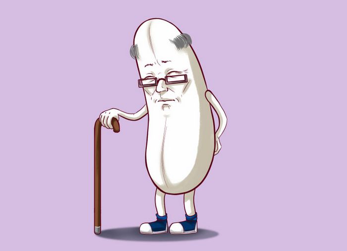 12 ditados populares portugueses que podem dar um nó na mentes brasileiras 5