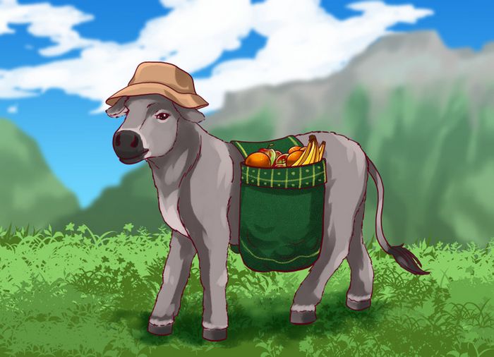 12 ditados populares portugueses que podem dar um nó na mentes brasileiras 9