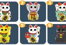 Escolha um gato da sorte e obtenha uma revelação para o seu futuro 39