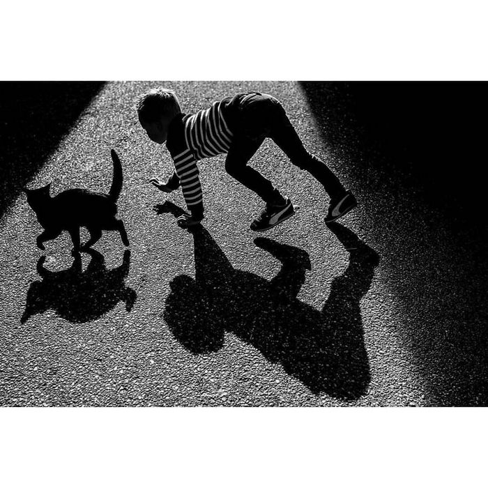 42 fotos de animais poderosas da página do Instagram “The Decisive Moments Magazine” 5