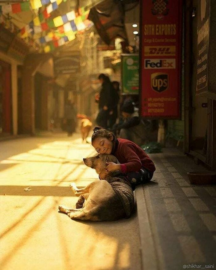 42 fotos de animais poderosas da página do Instagram “The Decisive Moments Magazine” 13