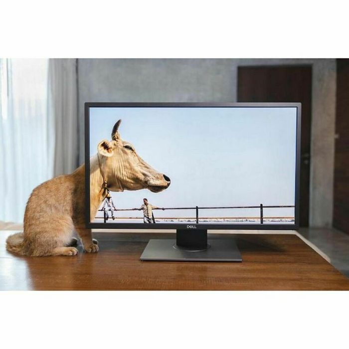 42 fotos de animais poderosas da página do Instagram “The Decisive Moments Magazine” 14