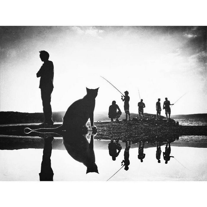 42 fotos de animais poderosas da página do Instagram “The Decisive Moments Magazine” 36