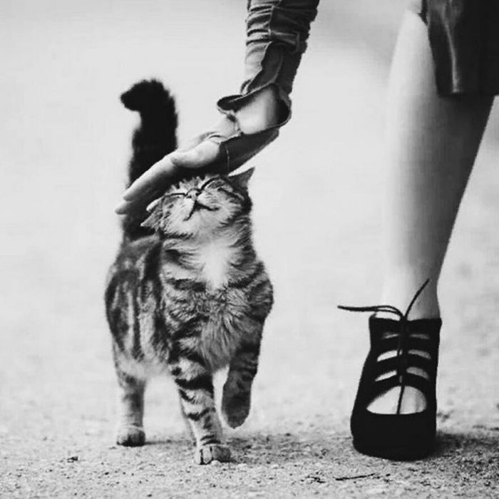 30 fotos de rua divertidas de uma conta no Instagram 2