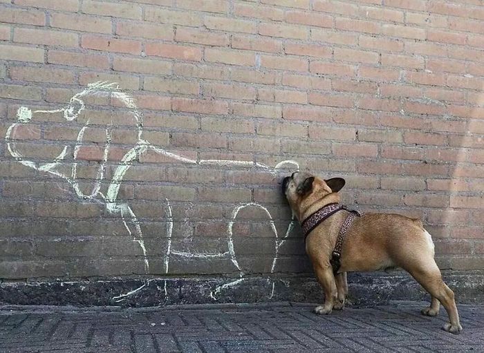 30 fotos de rua divertidas de uma conta no Instagram 6