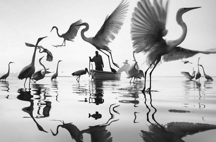 30 fotos de rua divertidas de uma conta no Instagram 19