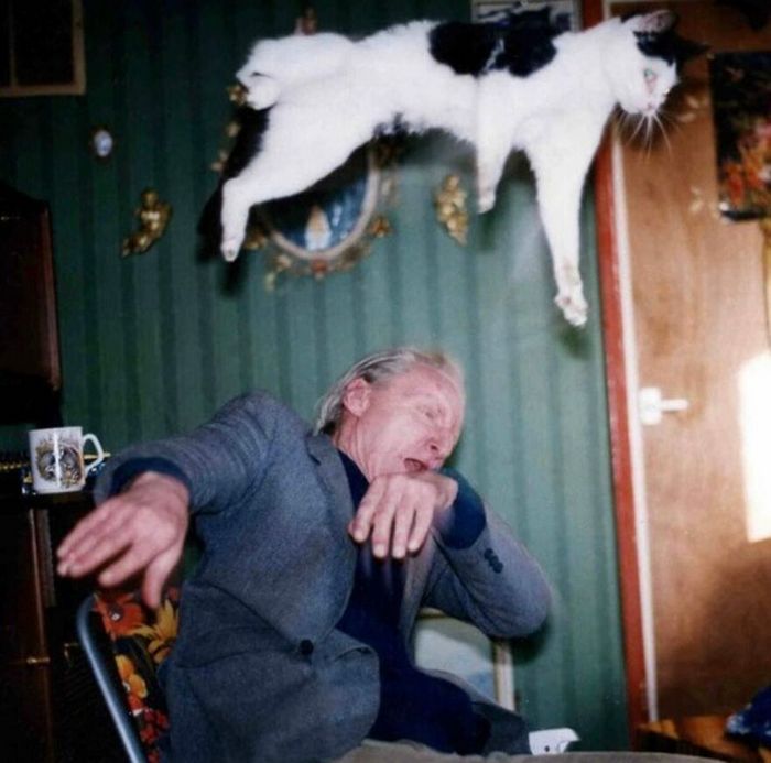 30 fotos de rua divertidas de uma conta no Instagram 23