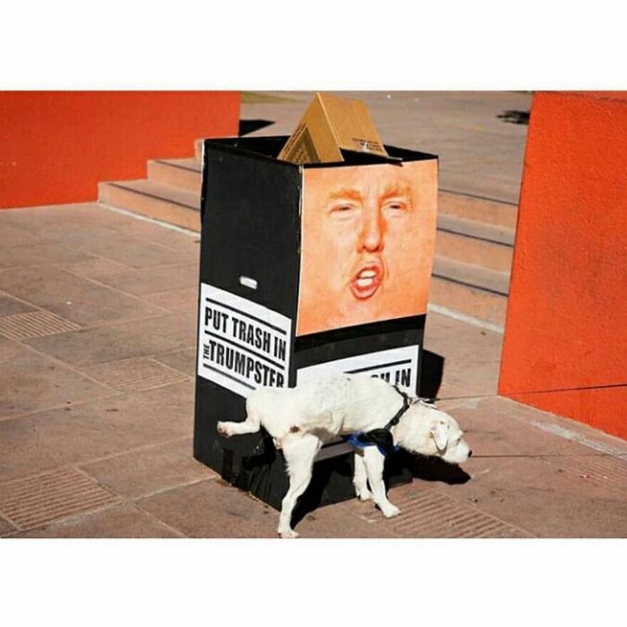 30 fotos de rua divertidas de uma conta no Instagram 25