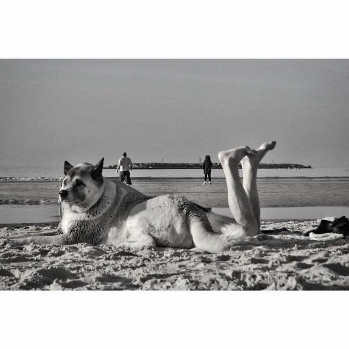 30 fotos de rua divertidas de uma conta no Instagram 26