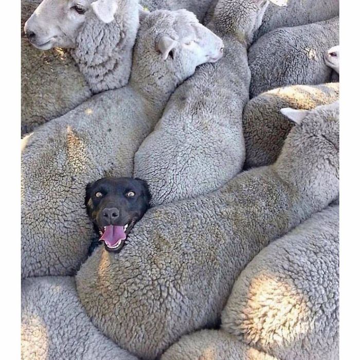 30 fotos de rua divertidas de uma conta no Instagram 28