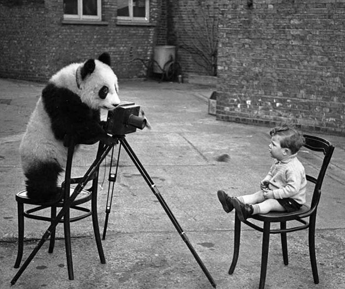 30 fotos de rua divertidas de uma conta no Instagram 29