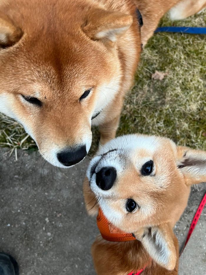 15 fotos que derreteram nossos corações mais rápido do que o sol 3