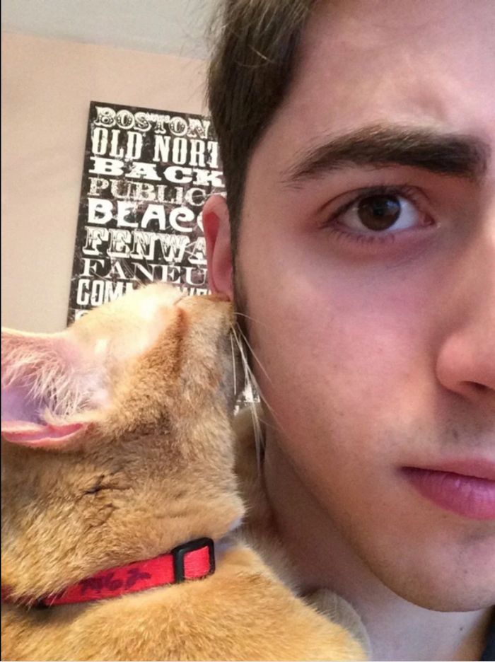 15 fotos que derreteram nossos corações mais rápido do que o sol 7