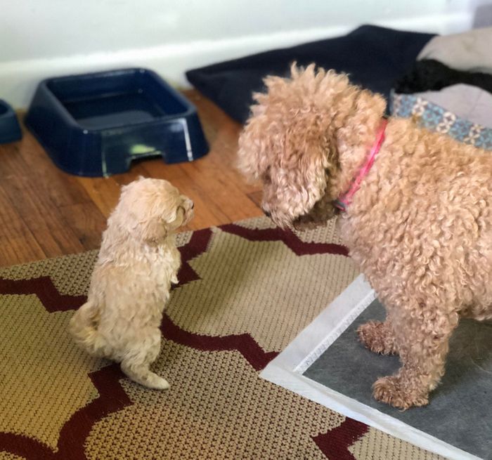 15 fotos que derreteram nossos corações mais rápido do que o sol 14