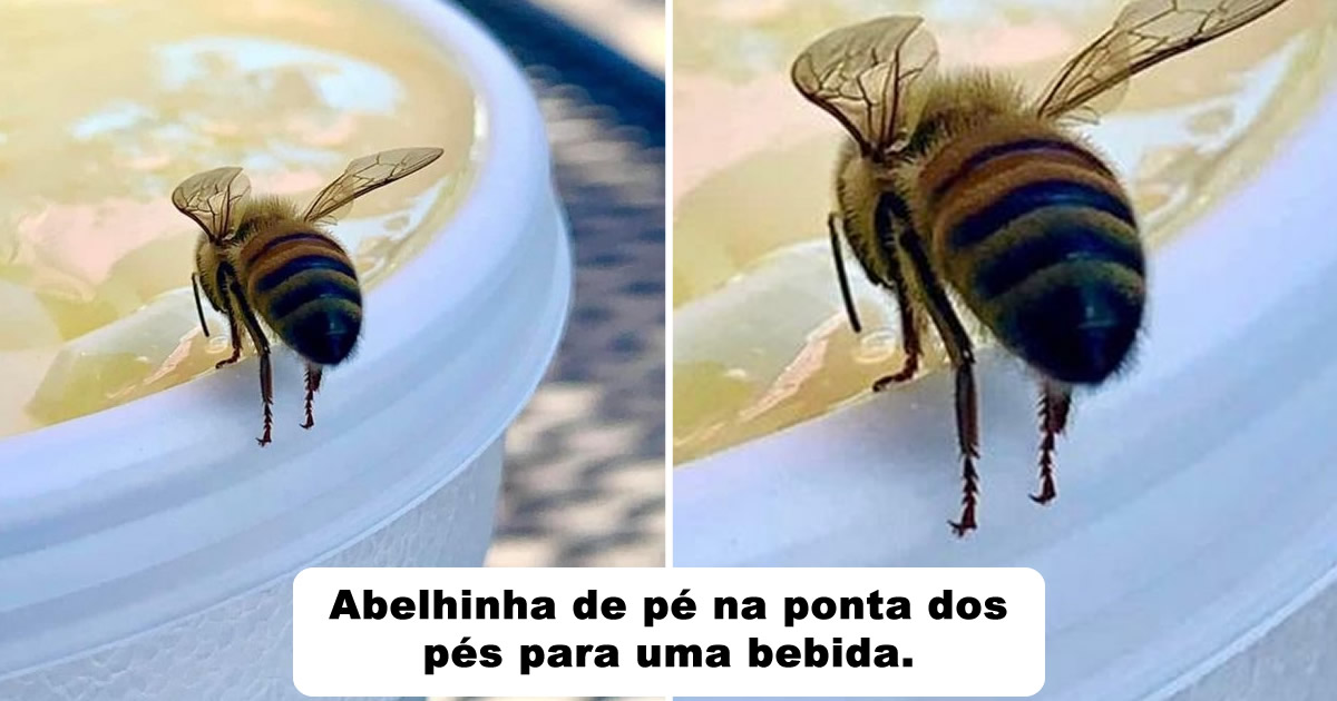 15 fotos que derreteram nossos corações mais rápido do que o sol