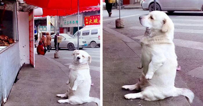 18 fotos que mostram que o mundo está cheio de coisas especiais, e você pode encontrá-las em todos os lugares 1