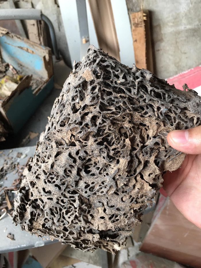 18 fotos que mostram que o mundo está cheio de coisas especiais, e você pode encontrá-las em todos os lugares 3