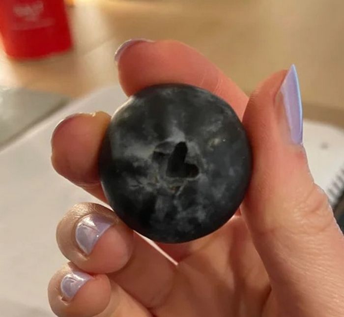 18 fotos que mostram que o mundo está cheio de coisas especiais, e você pode encontrá-las em todos os lugares 6