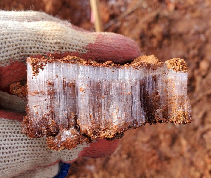 18 fotos que mostram que o mundo está cheio de coisas especiais, e você pode encontrá-las em todos os lugares 7