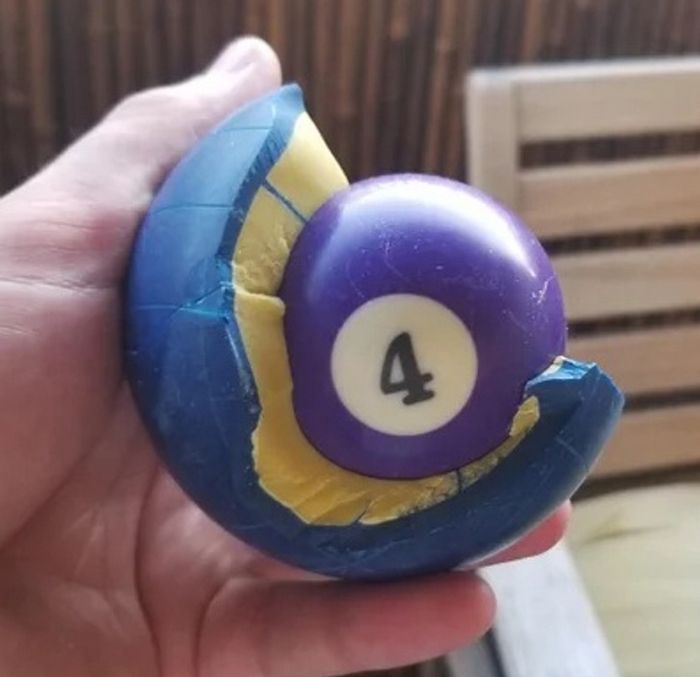 18 fotos que mostram que o mundo está cheio de coisas especiais, e você pode encontrá-las em todos os lugares 10