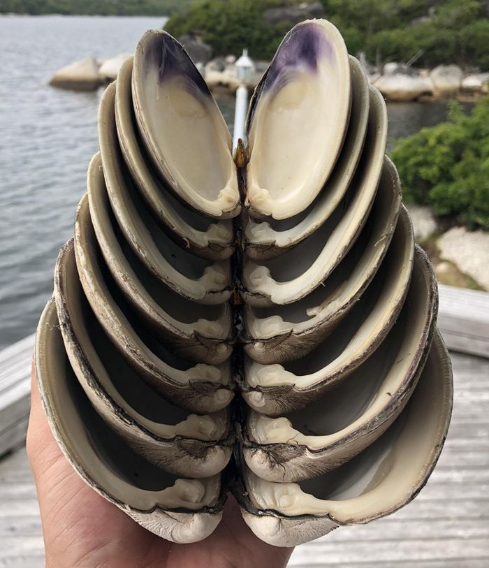 18 fotos que mostram que o mundo está cheio de coisas especiais, e você pode encontrá-las em todos os lugares 17