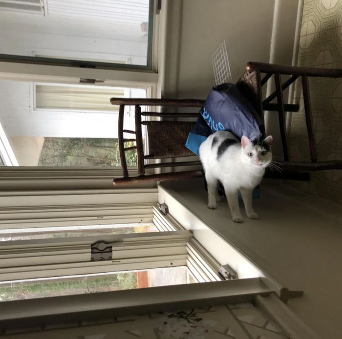 16 fotos que provam por que a perspectiva é fundamental 1