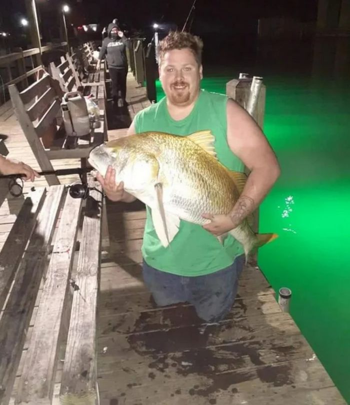 16 fotos que provam por que a perspectiva é fundamental 4