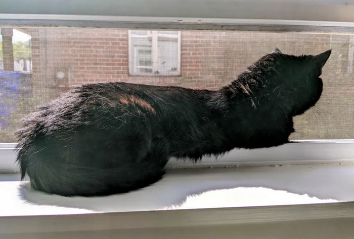 16 fotos que provam por que a perspectiva é fundamental 8