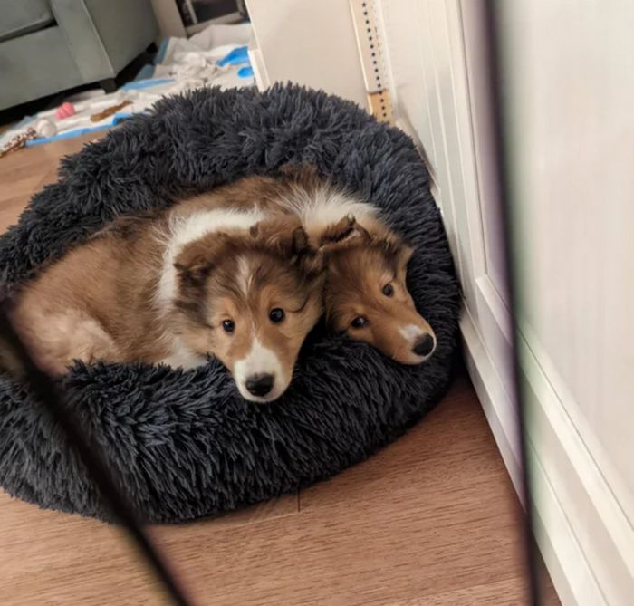 16 fotos que provam por que a perspectiva é fundamental 9