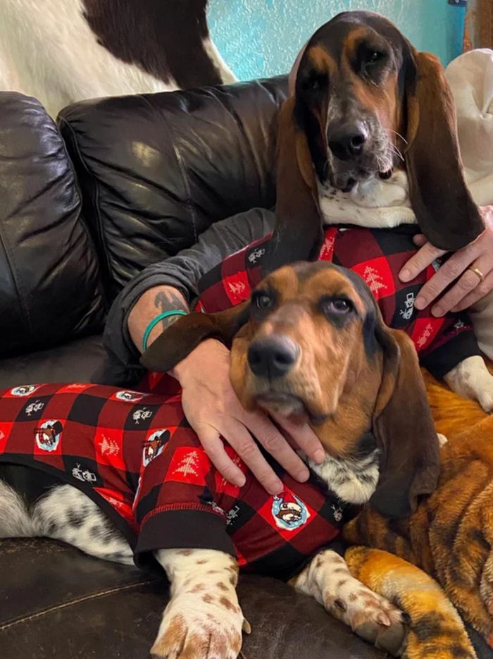 16 fotos que provam por que a perspectiva é fundamental 11