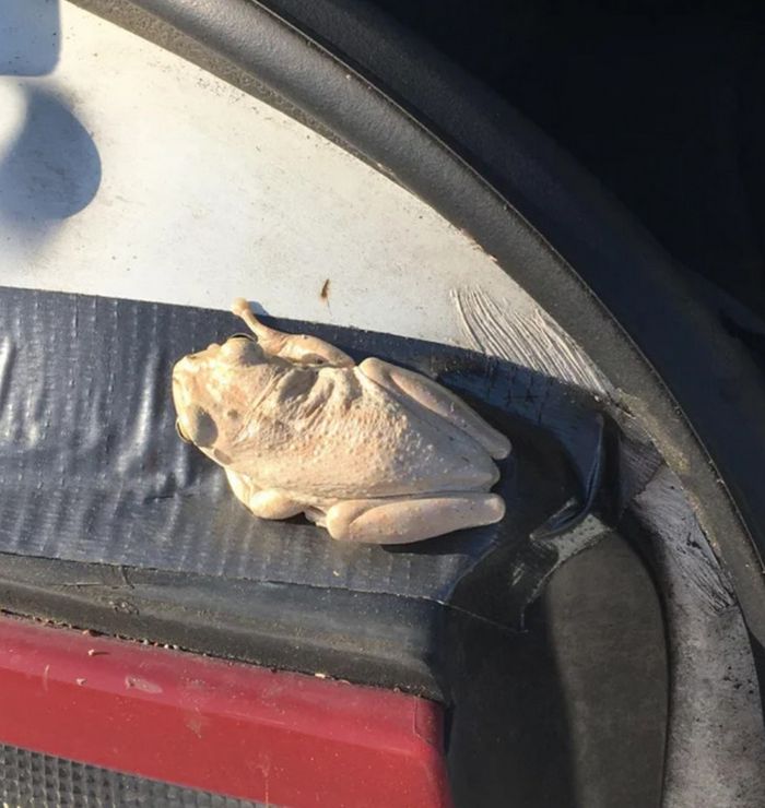 16 fotos que provam por que a perspectiva é fundamental 15