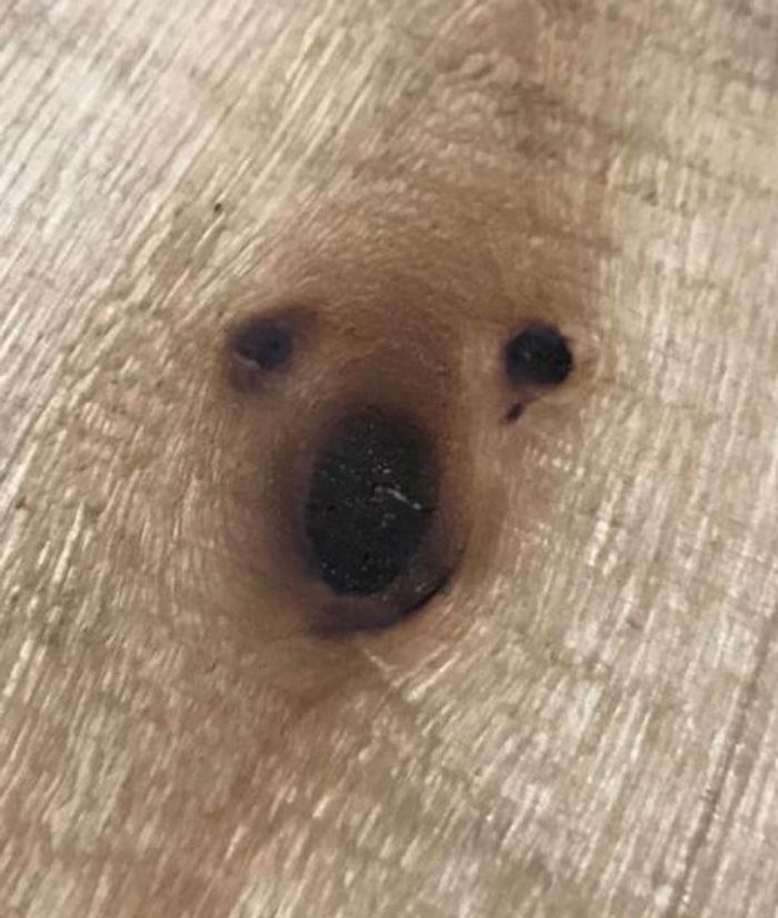 15 fotos que vão fazer você esfregar os olhos duas vezes 2