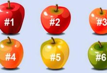 O que cada maçã diz sobre você? 10