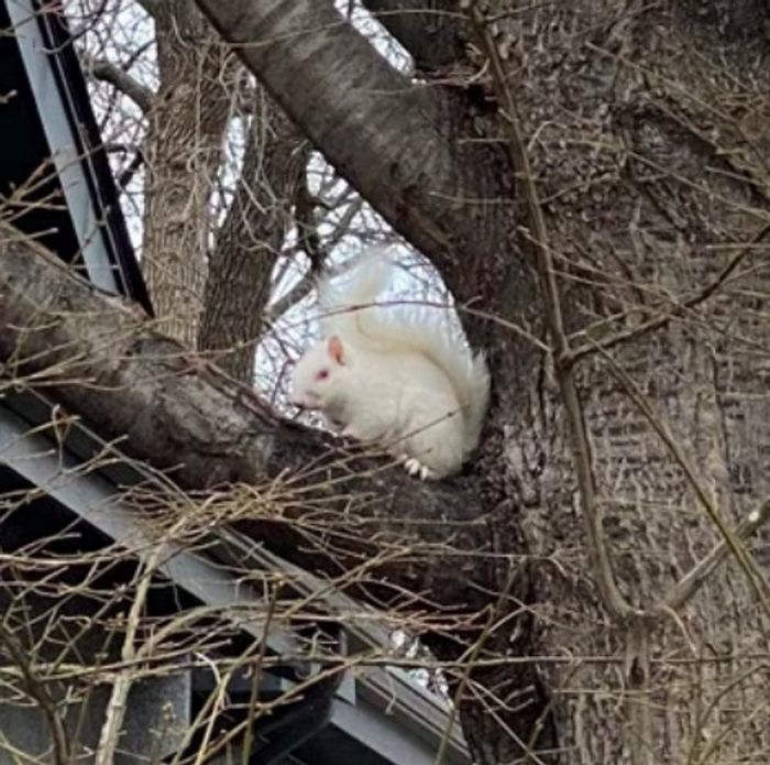 19 pessoas que não podiam acreditar em sua sorte com suas descobertas magníficas 4