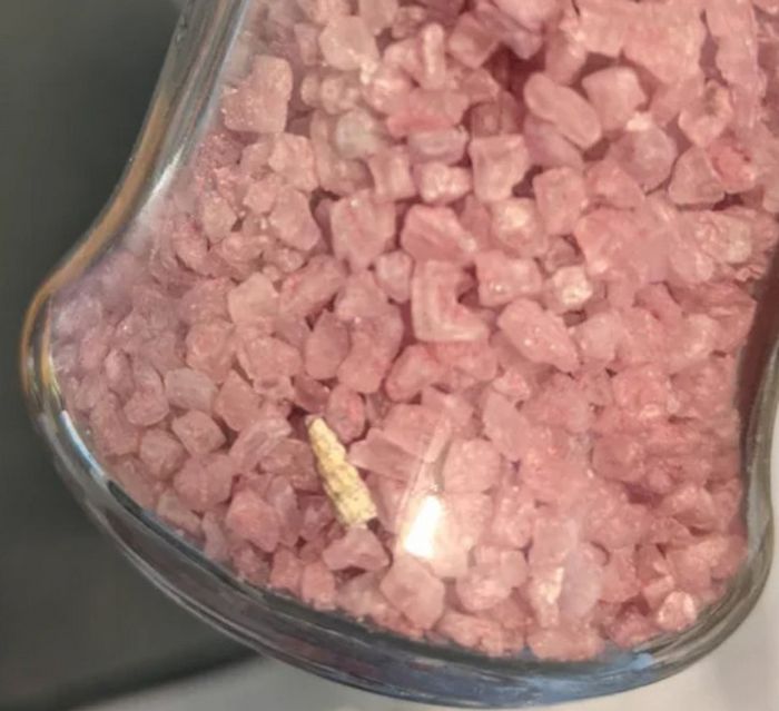 19 pessoas que não podiam acreditar em sua sorte com suas descobertas magníficas 8