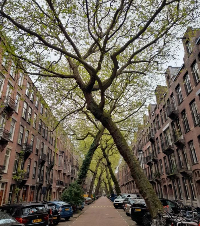 19 pessoas que não podiam acreditar em sua sorte com suas descobertas magníficas 9