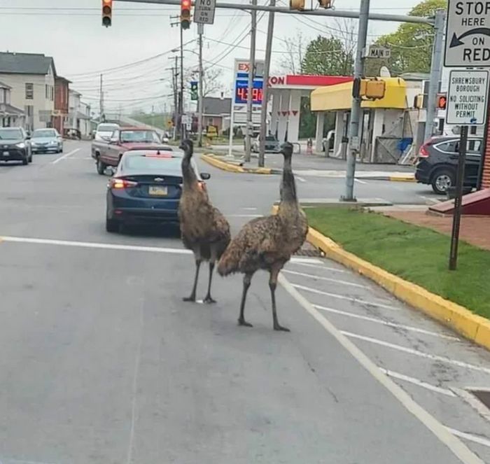 19 pessoas que não podiam acreditar em sua sorte com suas descobertas magníficas 14