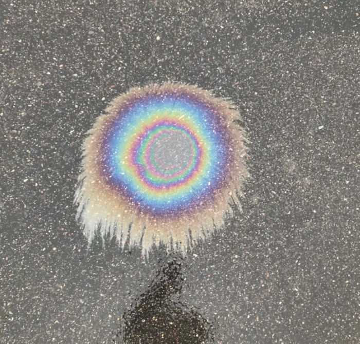 19 pessoas que não podiam acreditar em sua sorte com suas descobertas magníficas 15