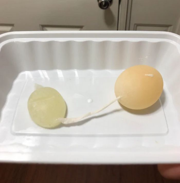 19 pessoas que não podiam acreditar em sua sorte com suas descobertas magníficas 16