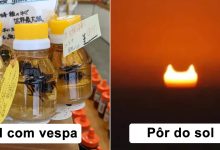 19 pessoas que não podiam acreditar em sua sorte com suas descobertas magníficas 7